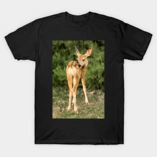 Fawn Of My Heart T-Shirt